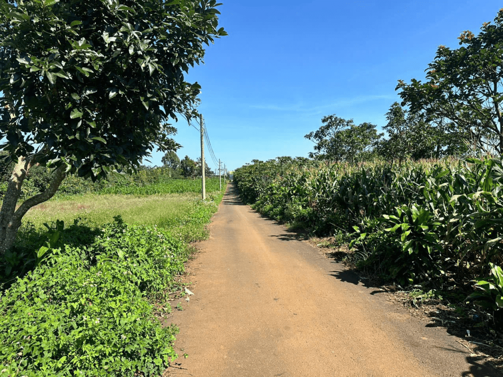 Mua đất Bảo Lộc Lâm Đồng