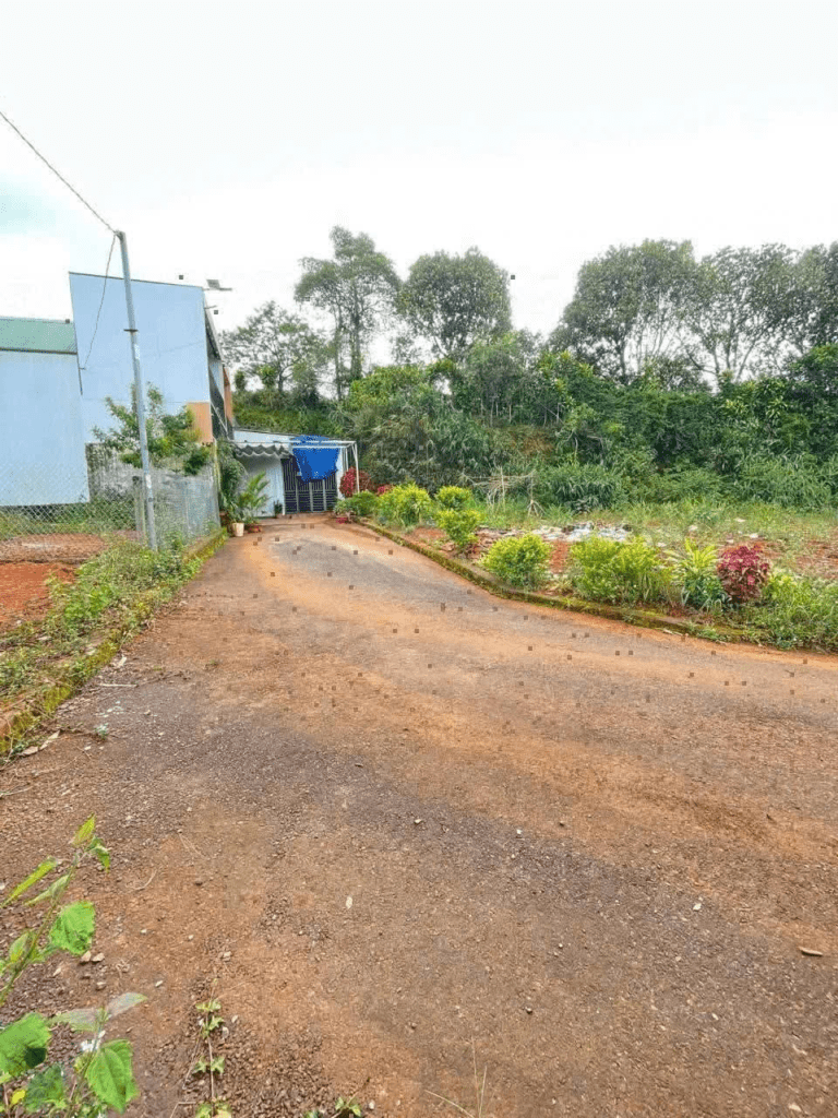 Mua Đất Bảo Lộc Lâm Đông