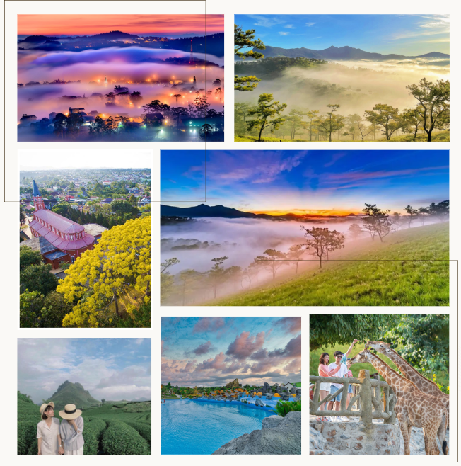 Hình ảnh ở Bảo Lộc Lâm Đồng