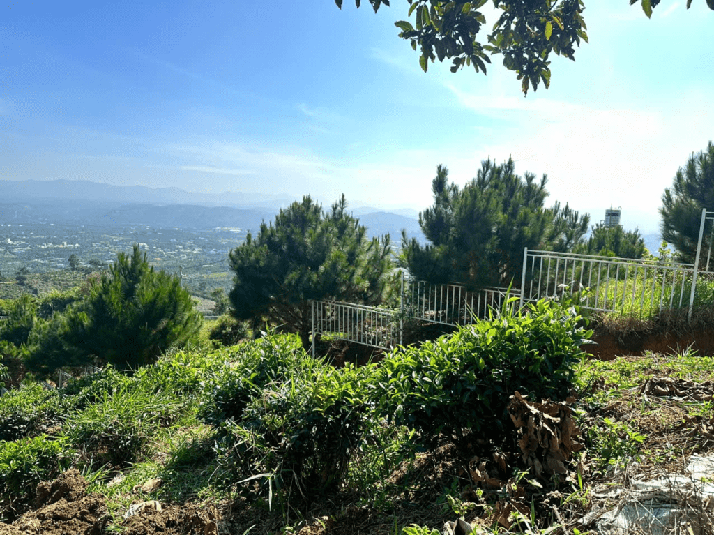 Mua Đất Nền Bảo Lộc Lâm Đồng