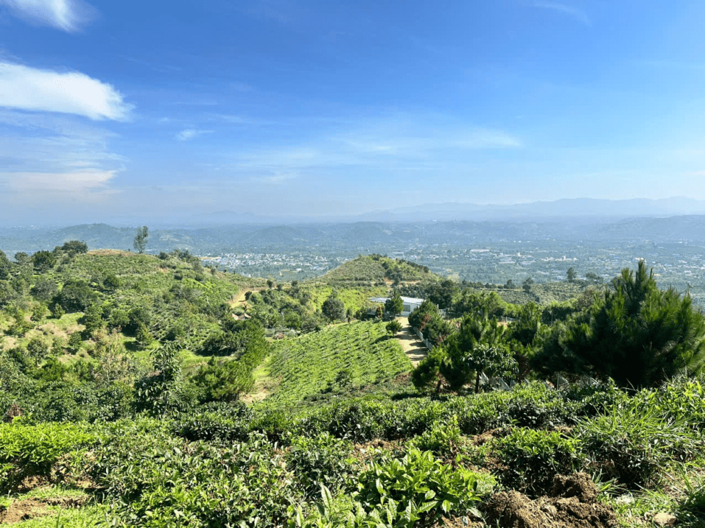 Mua Đất Nền Bảo Lộc Lâm Đồng