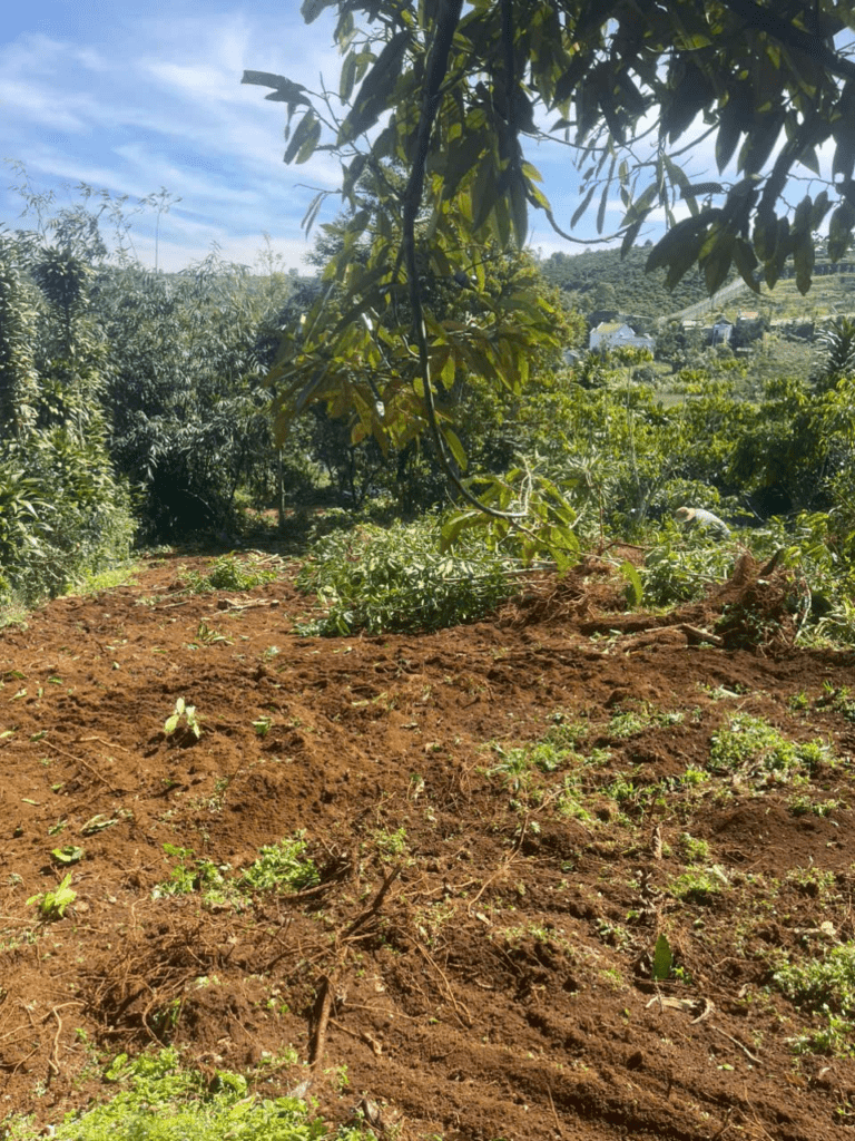 Mua Đất Nền Bảo Lộc Lâm Đồng