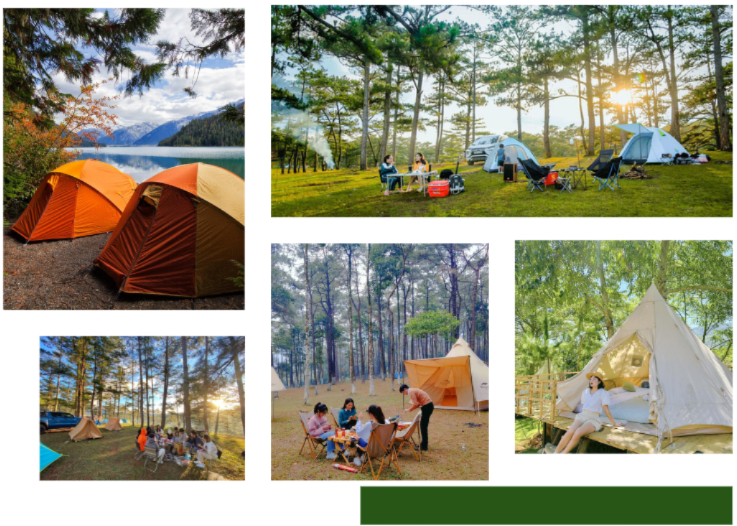 Hình ảnh cắm trại đồi thông Bảo Lộc