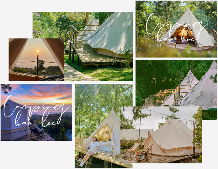 Hình ảnh camping Bảo Lộc