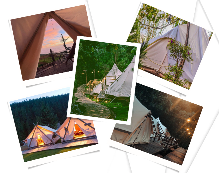 Hình ảnh camping Bảo Lộc