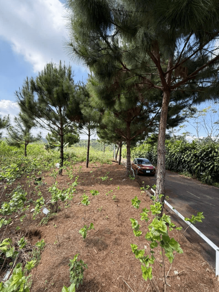 Mua đất nghỉ dưỡng Bảo Lộc