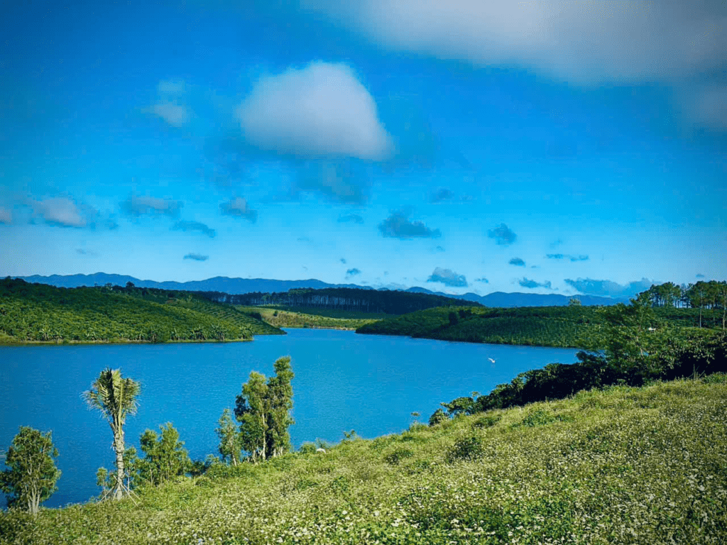 Đất Nền Bảo lộc 