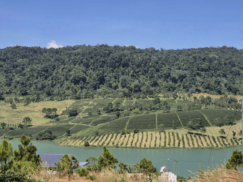 Mua Đất Bảo Lộc View Hồ