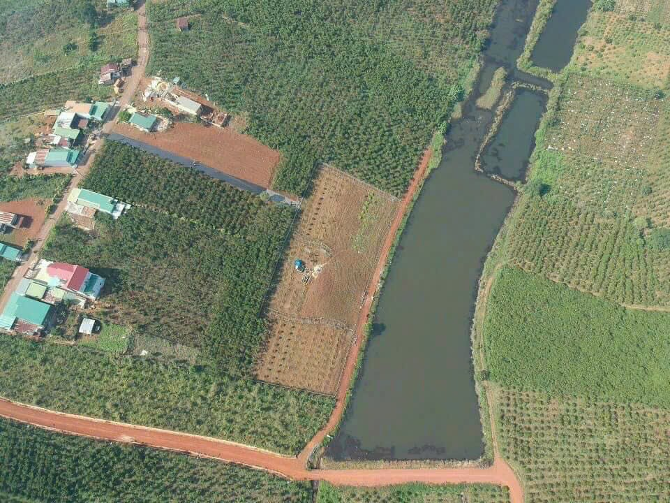 Mua Đất Bảo Lộc View Hồ