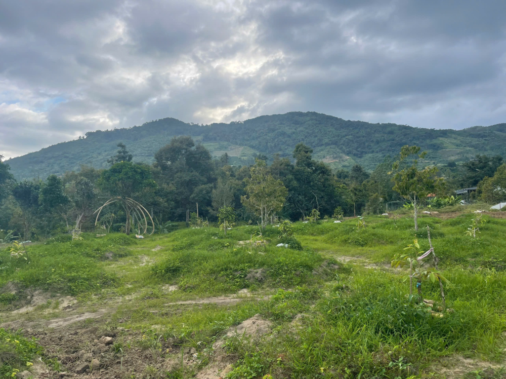 Mua đất view mây bảo lộc