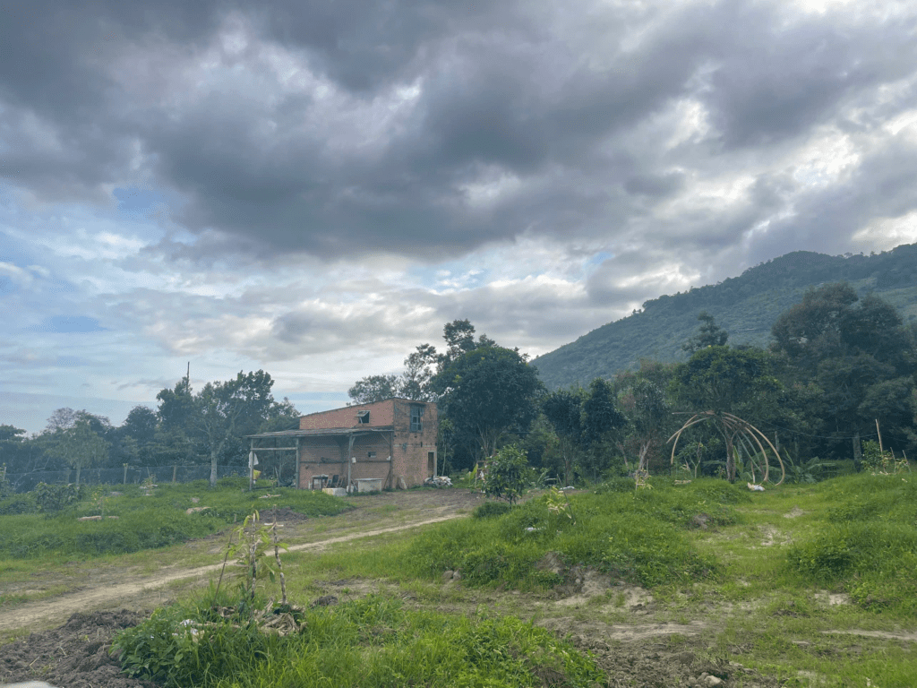 Mua đất view mây bảo lộc