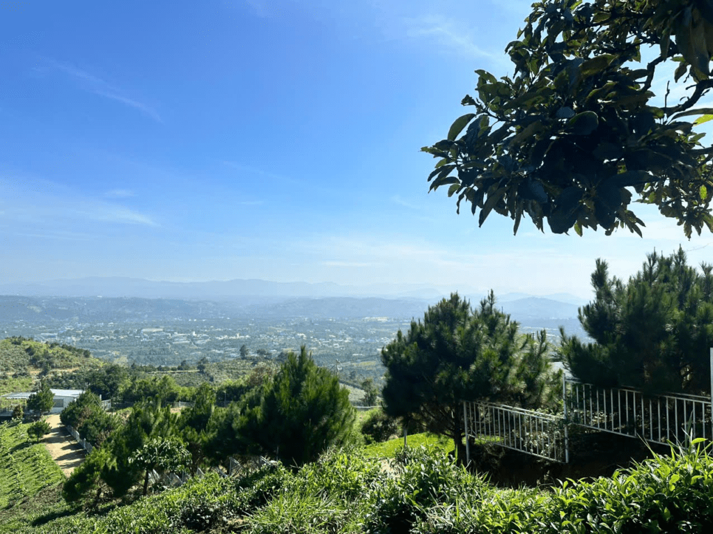 Mua đất view mây Bảo Lộc