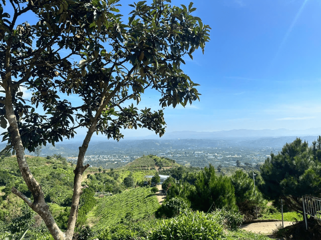 Mua đất view mây Bảo Lộc