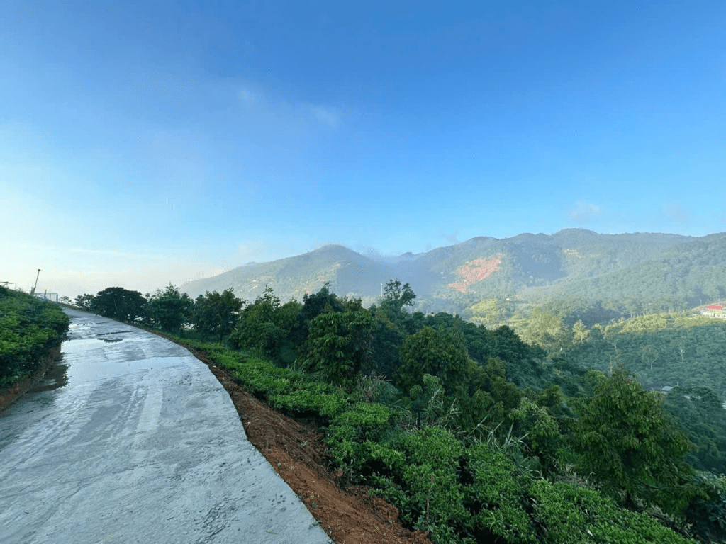 Mua đất view mây bảo lộc