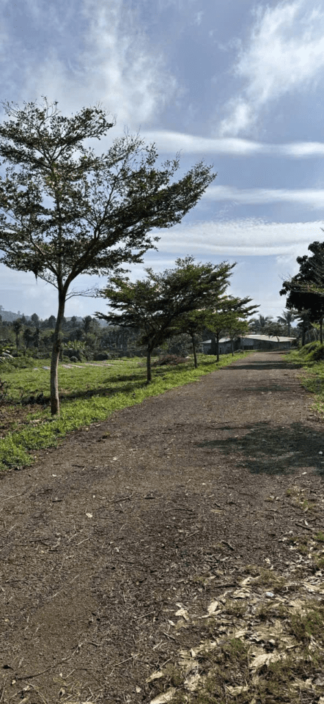 Mua đất trung tâm Bảo Lộc