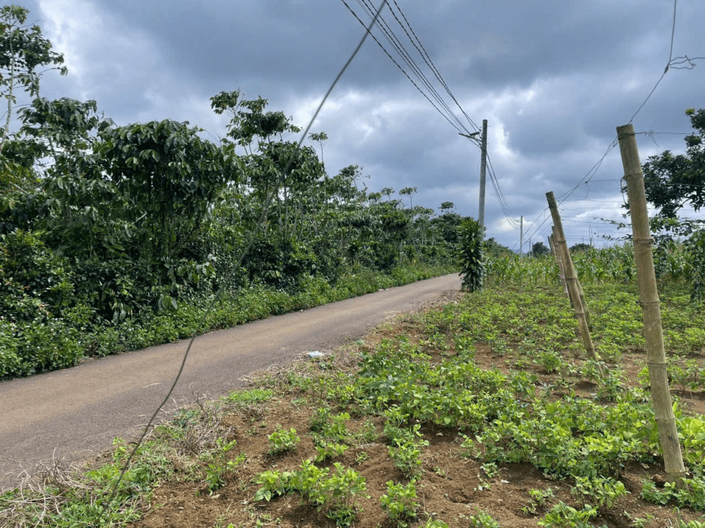 Mua đất trung tâm Bảo Lộc