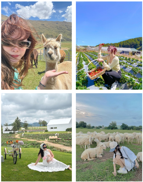 Nông trại Bảo Lộc