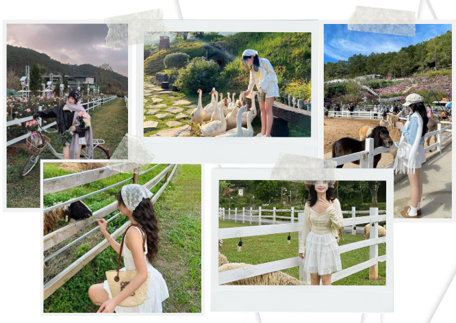 Nông trại Bảo Lộc