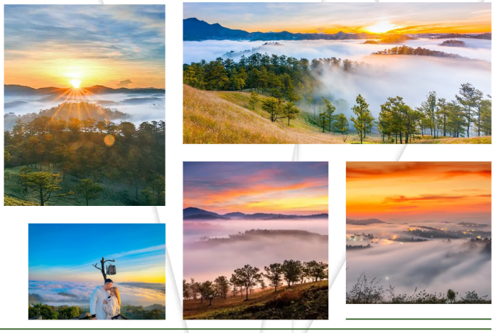 Dự án đất nền view đồi Bảo Lộc