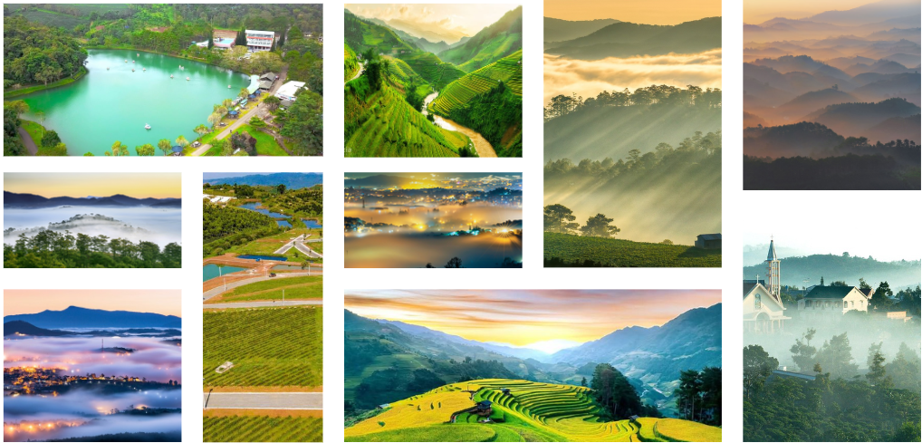 Hình ảnh view đồi Bảo Lộc