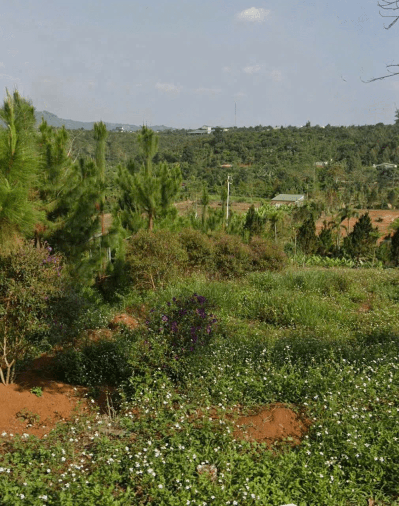 Mua đất thổ cư trung tâm Bảo Lộc