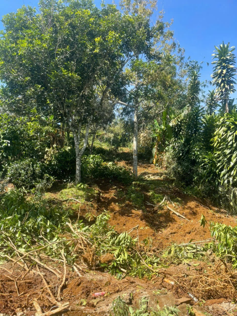 Mua đất nền Bảo Lộc giá rẻ