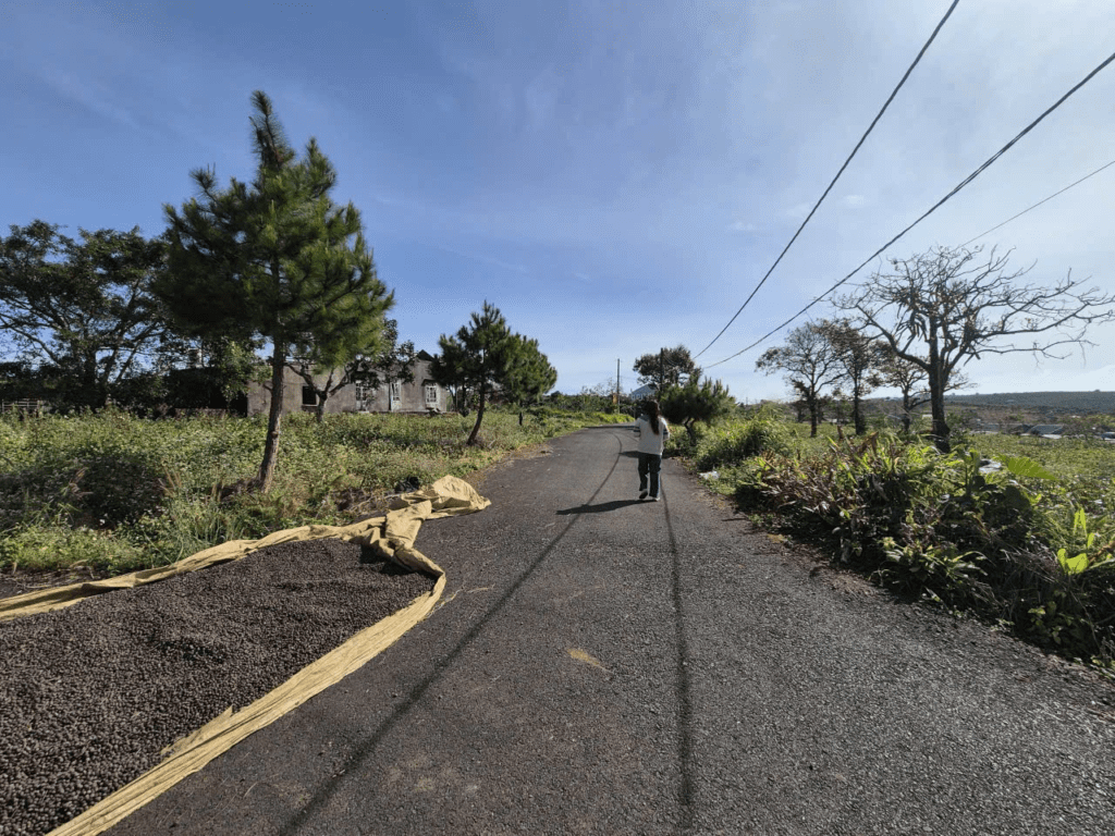 Mua đất nền Bảo Lộc giá rẻ