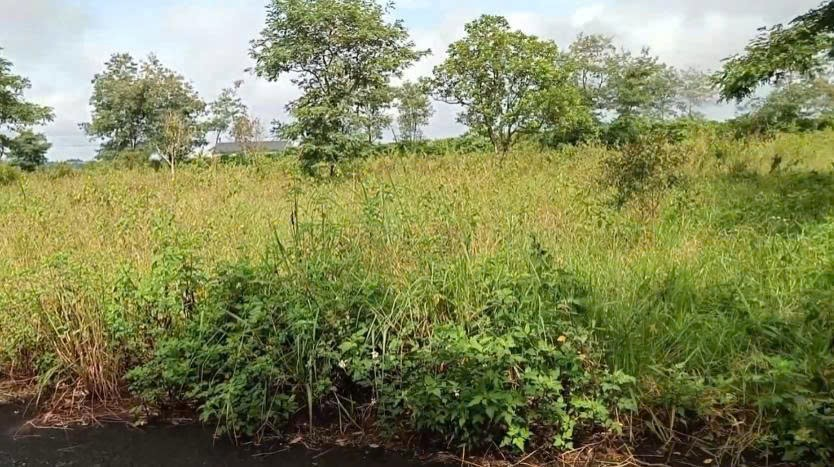 Mua đất nền giá rẻ Bảo Lộc