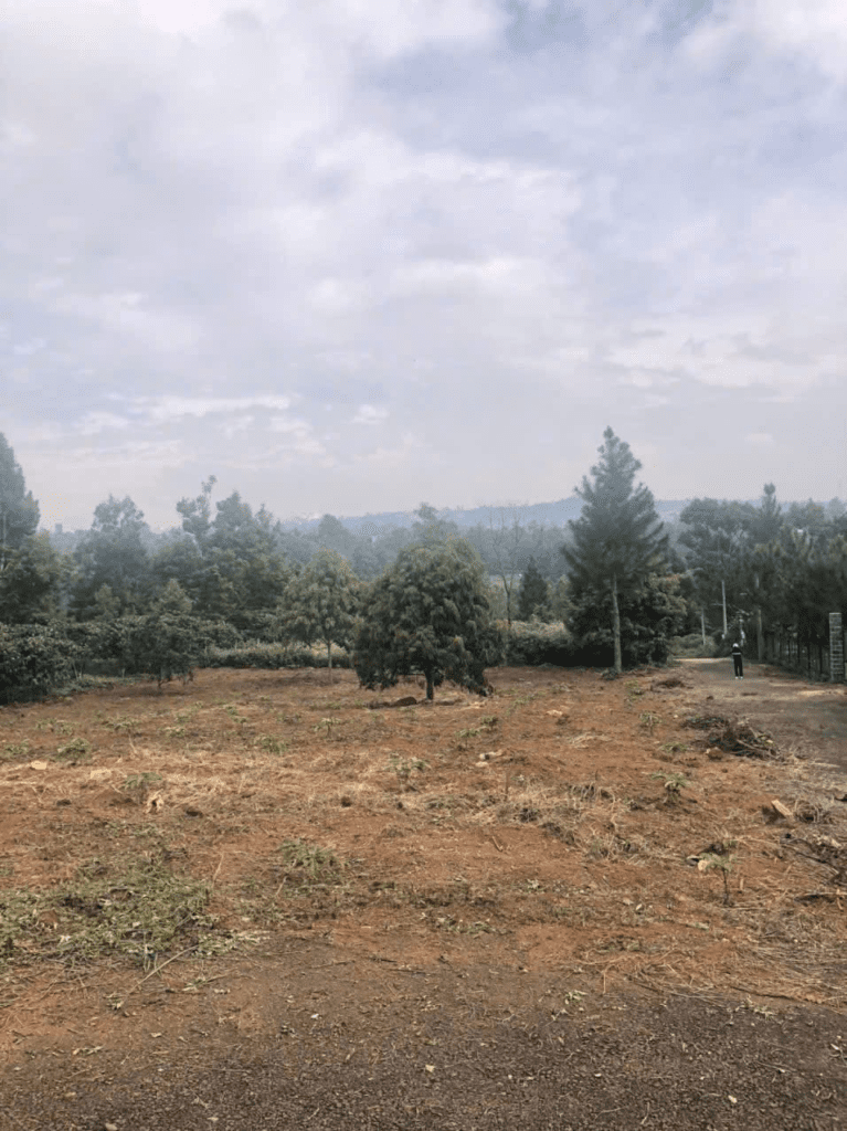 Mua đất nền giá rẻ Bảo Lộc