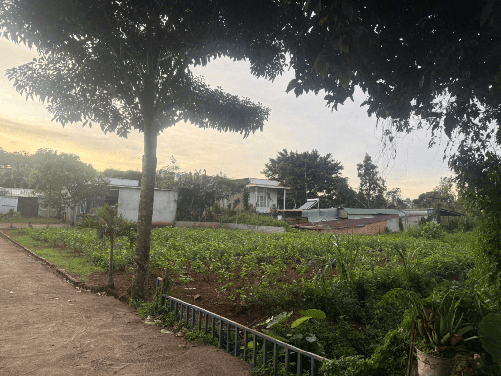 Mua đất trung tâm Bảo Lộc