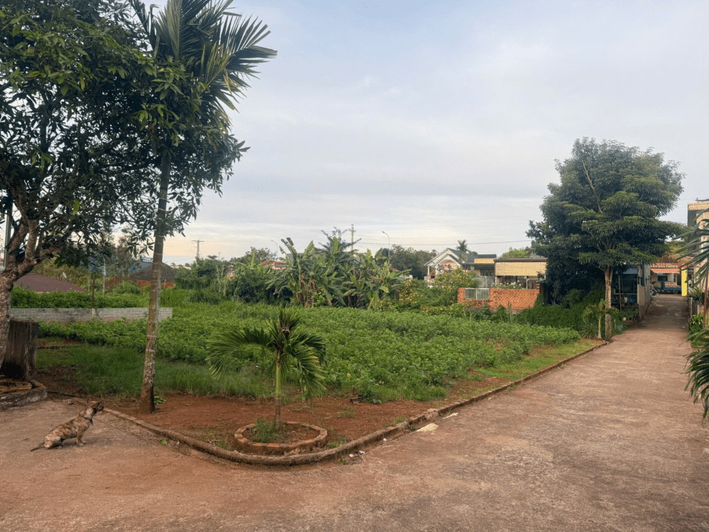 Mua đất trung tâm Bảo Lộc