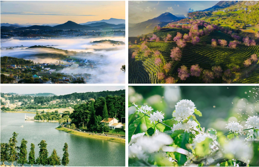 Định hướng phát triển của Bảo Lộc 