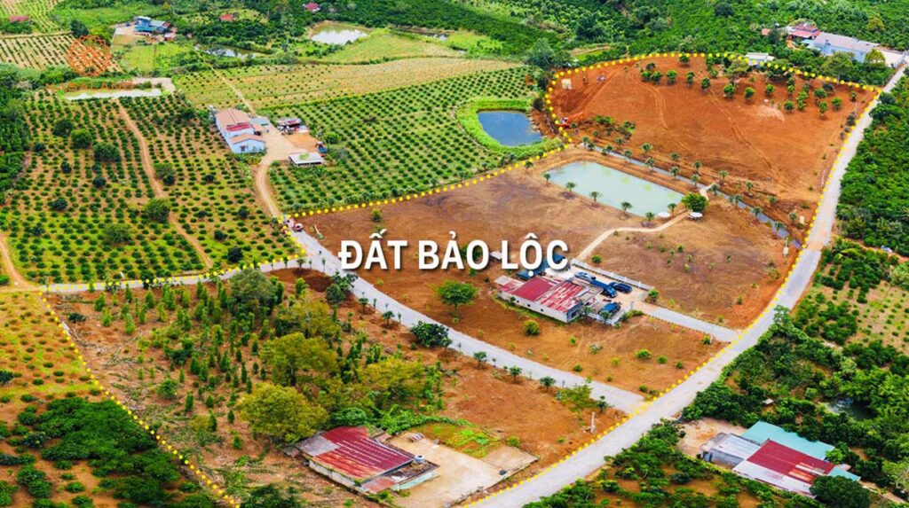 Khu vực dính quy hoạch Bảo Lộc