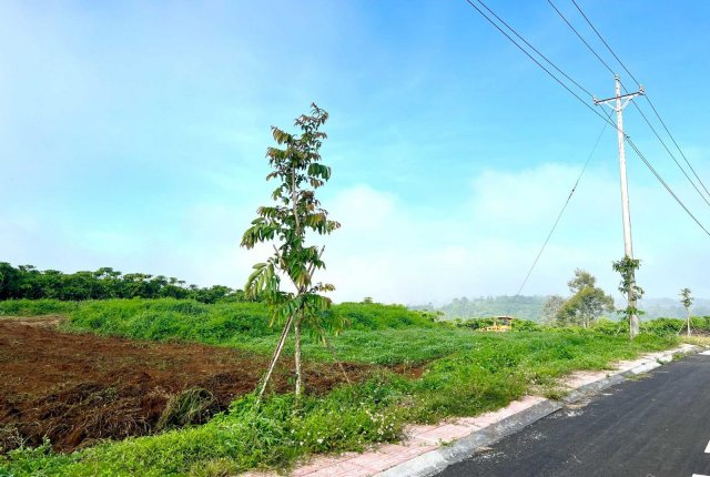 Hình ảnh đất xã Lộc Nga