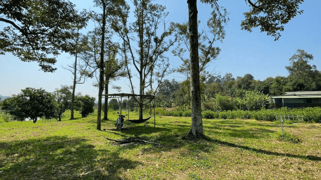 Mua đất vườn Bảo Lộc