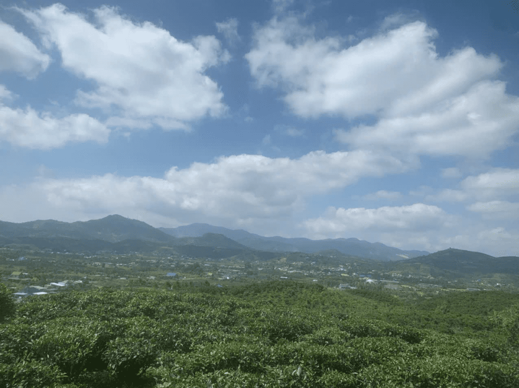 Mua đất trung tâm Bảo Lộc