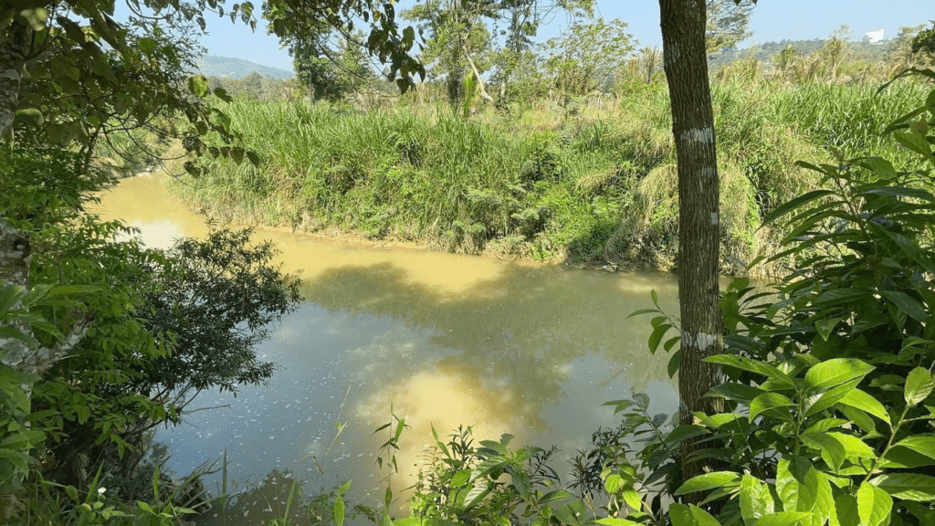 Mua đất vườn Bảo Lộc