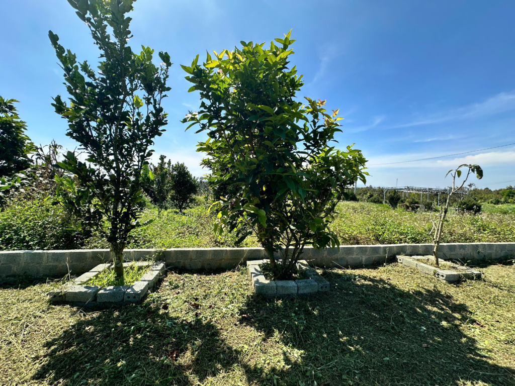 Mua đất vườn Bảo Lộc