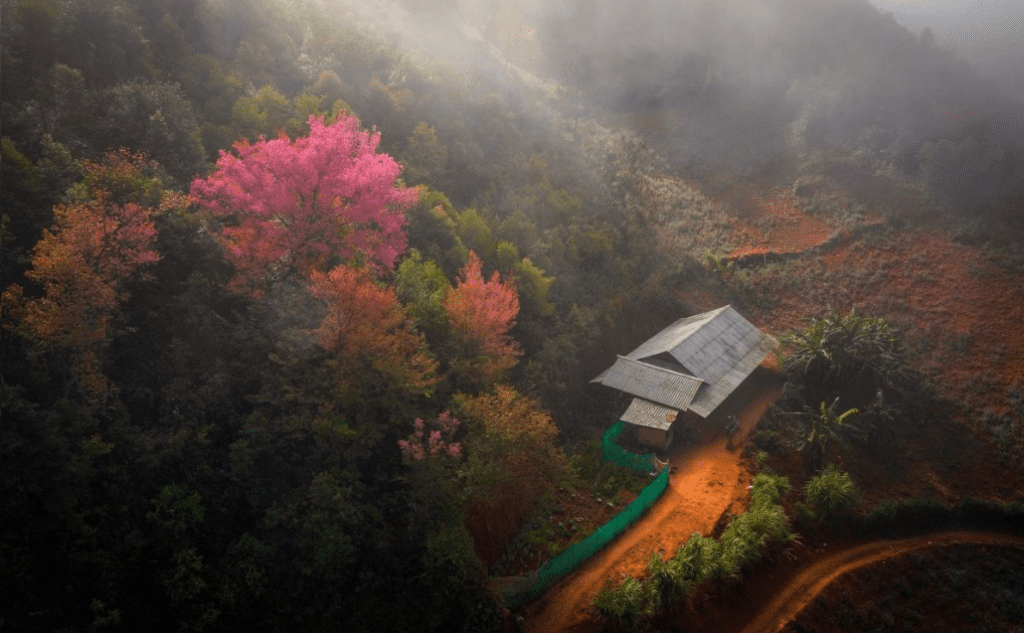 Bảng giá đất mới Bảo Lộc 2026