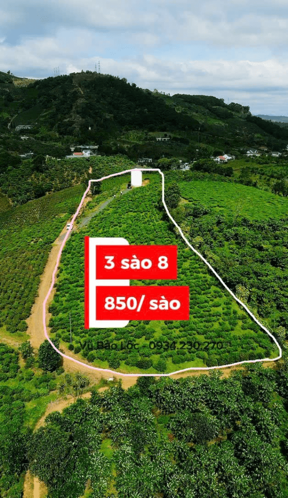 Mua đất thổ cư ngay trung tâm Bảo Lộc