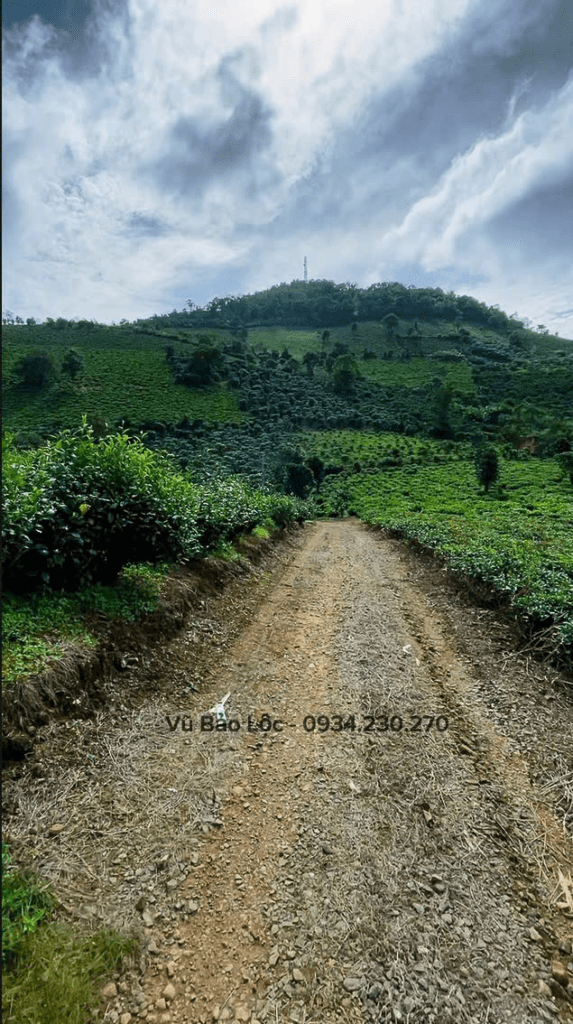 Mua đất thổ cư ngay trung tâm Bảo Lộc