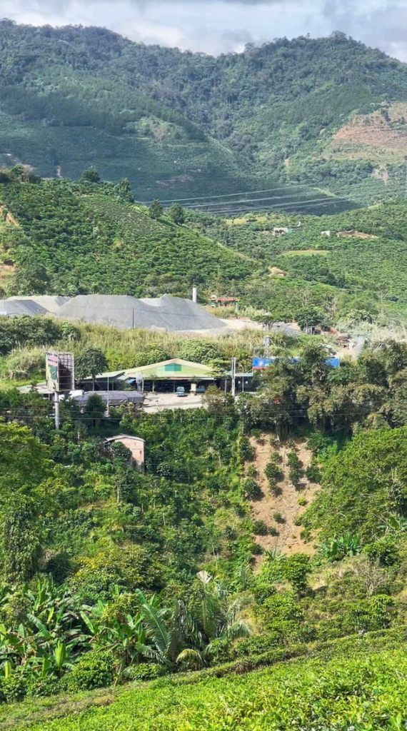 Mua đất thổ cư ngay trung tâm Bảo Lộc