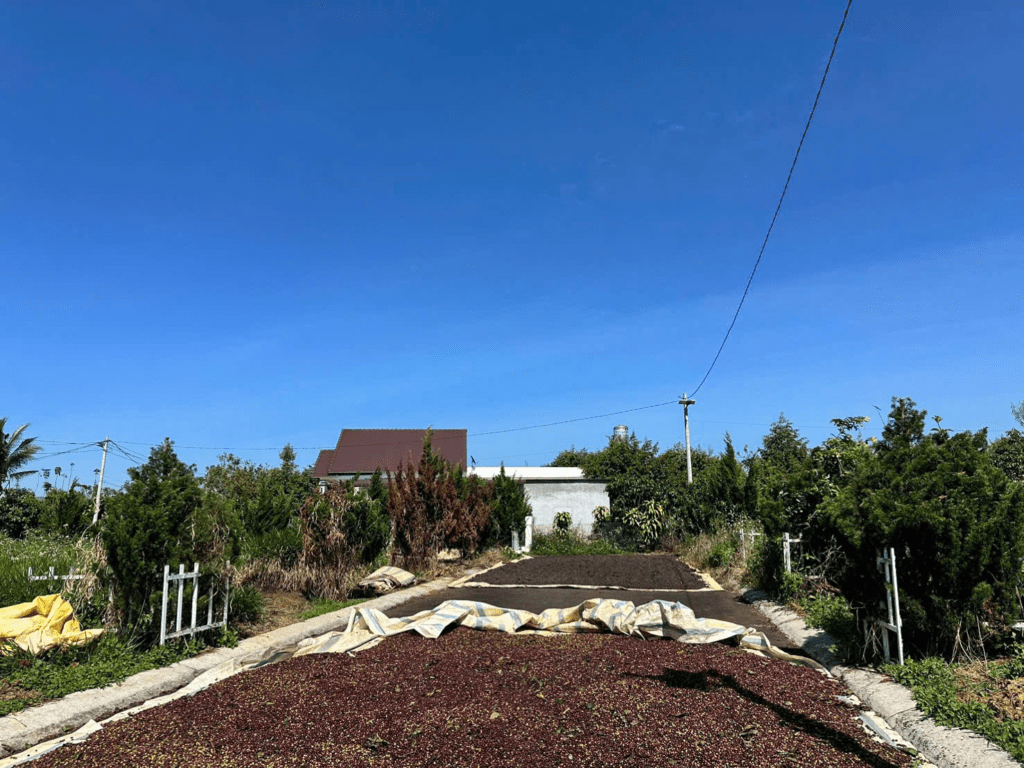 Mua đất nền giá rẻ Bảo Lộc