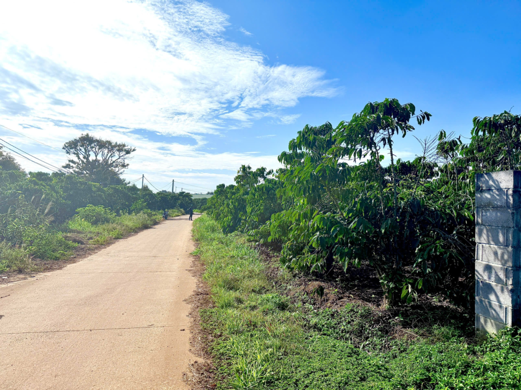 Mua đất thổ cư trung tâm Bảo Lộc