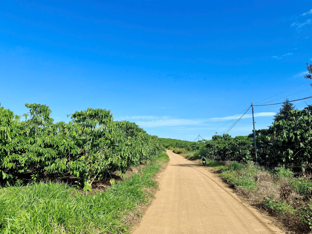 Mua đất thổ cư trung tâm Bảo Lộc