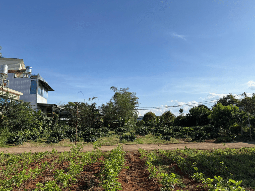 Mua đất thổ cư trung tâm Bảo Lộc