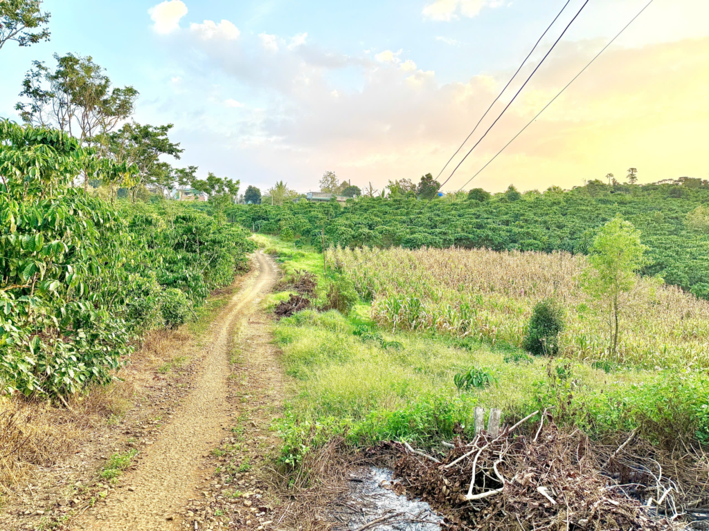 Đất vườn giá rẻ Bảo Lộc