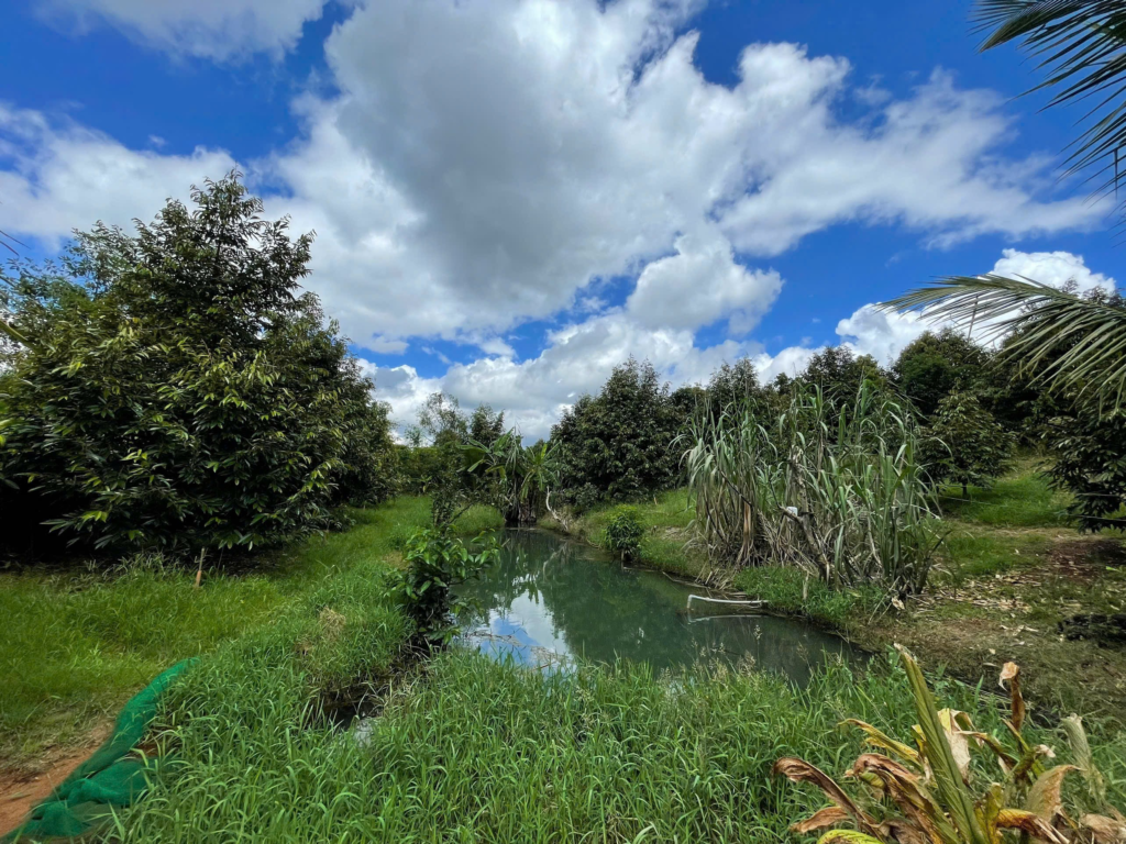 Đất vườn giá rẻ Bảo Lộc