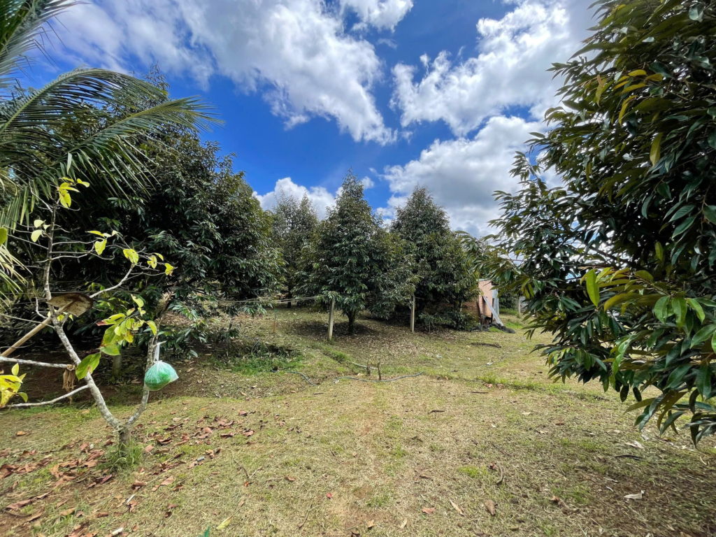 Đất vườn giá rẻ Bảo Lộc