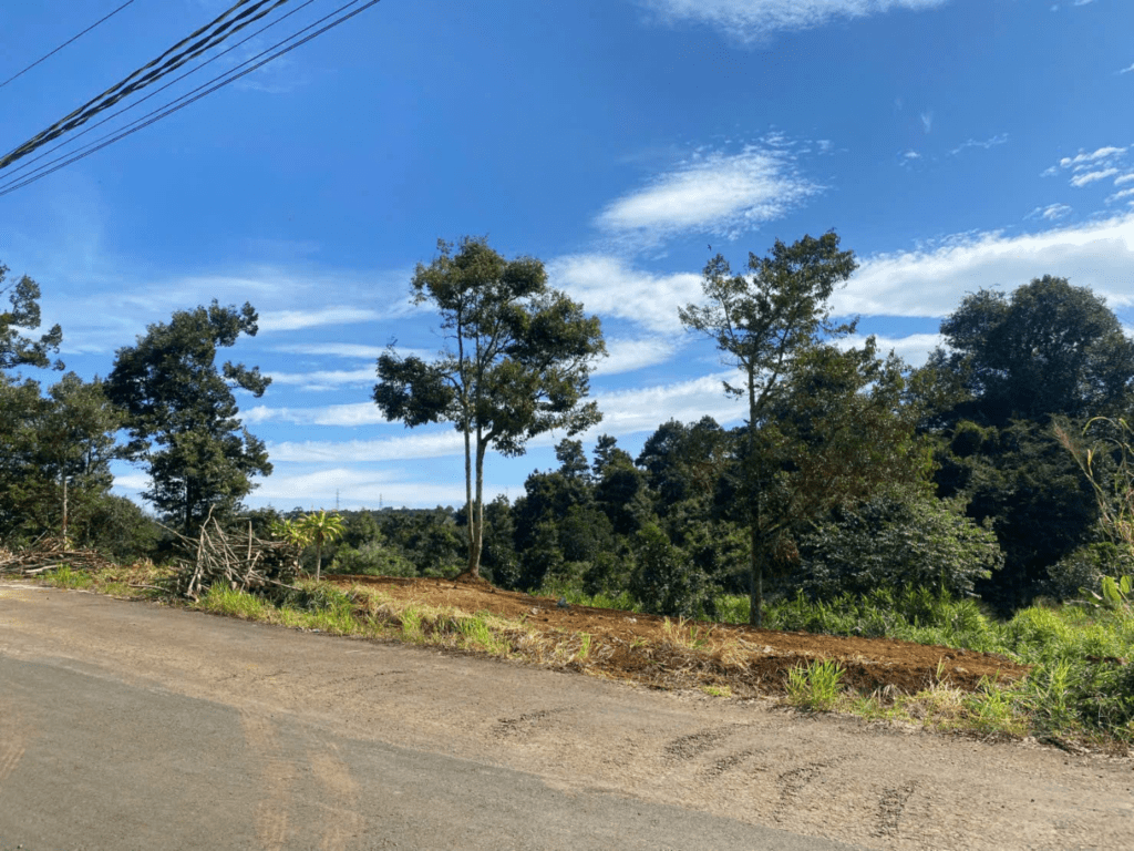 Đất vườn giá rẻ Bảo Lộc